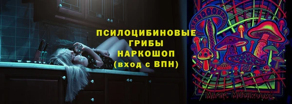 мяу мяу мука Сафоново