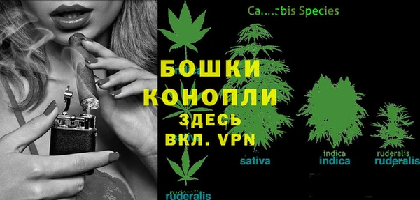 мяу мяу мука Сафоново