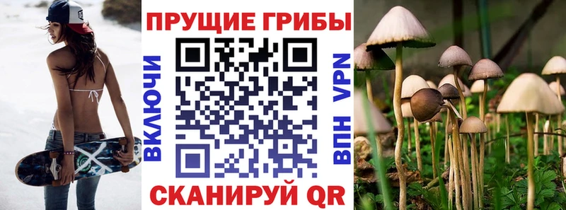 Псилоцибиновые грибы мицелий  купить закладку  Исилькуль 